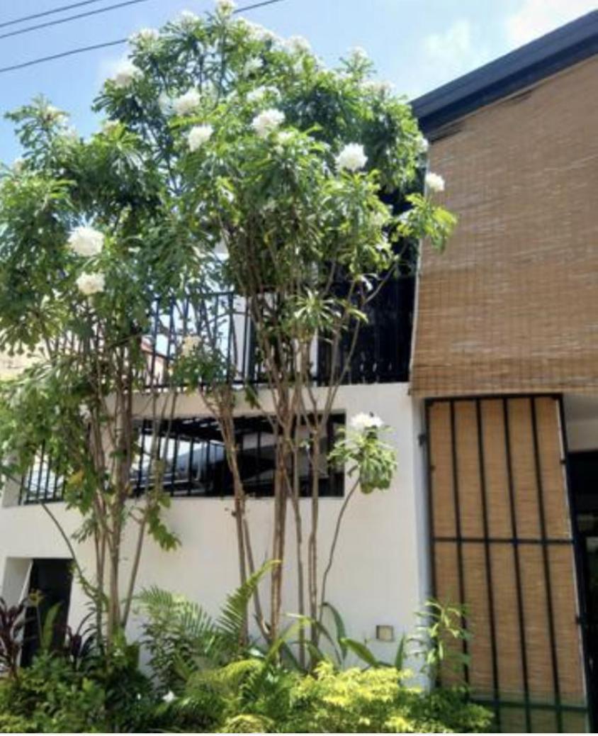 519@Jamtree Apartment Colombo Exterior photo